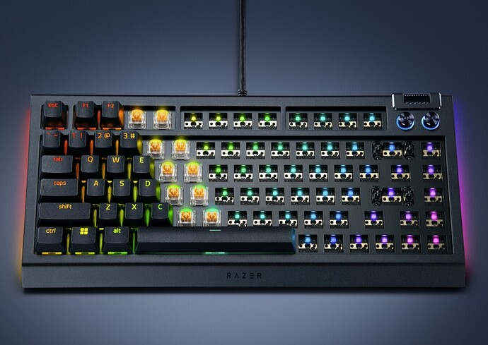 Teclado Razer BlackWidow V4 75%