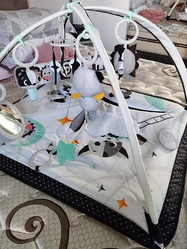 Tapete de atividades: qual modelo estimula melhor o bebê