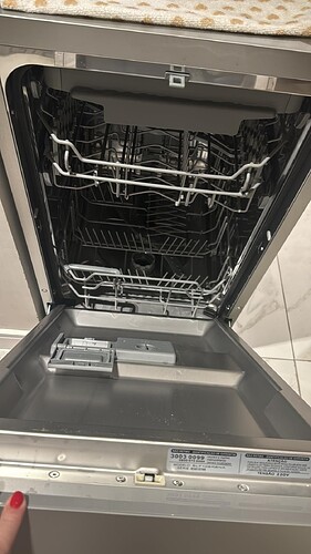 Lava-Louças 10 Serviços