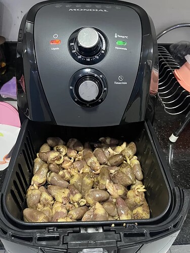Capacidade da Fritadeira Air Fryer Mondial