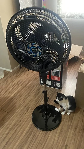 Ventilador de Coluna Arno Xtreme Force Breeze VB4C 40cm