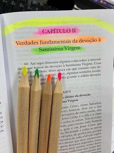 Caneta Marca Texto Tris Lapis Neon Jumbo