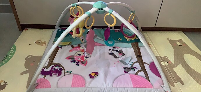 Tapete de atividades: qual modelo estimula melhor o bebê?